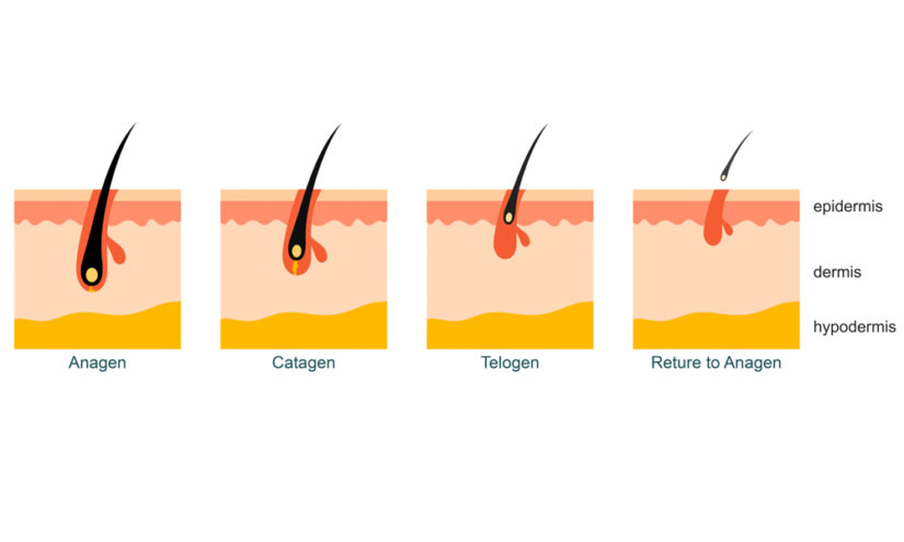 cancer-hair-loss-and-hair-changes-treatment-cancer-hair-care